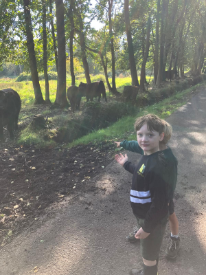 Sint-Martinus den XIIde - september-oktober